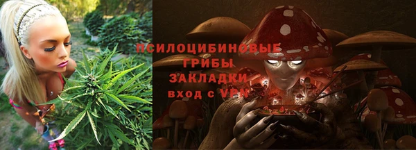 крисы Волоколамск