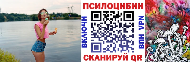 закладка  Подольск  блэк спрут ссылка  Псилоцибиновые грибы GOLDEN TEACHER 